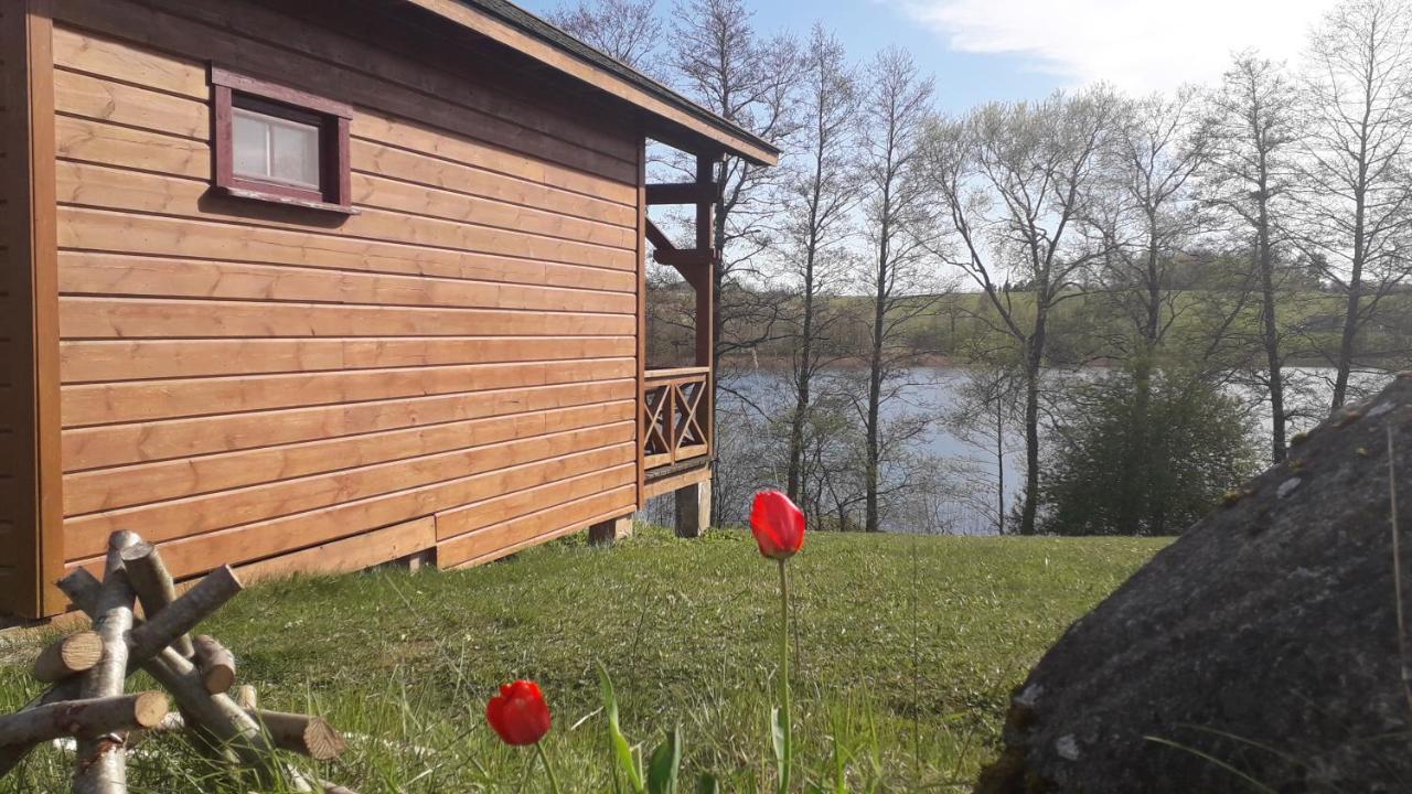 Mucenieki Villa Brizule Eksteriør bilde